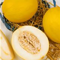Cucumis melo var. inodorus