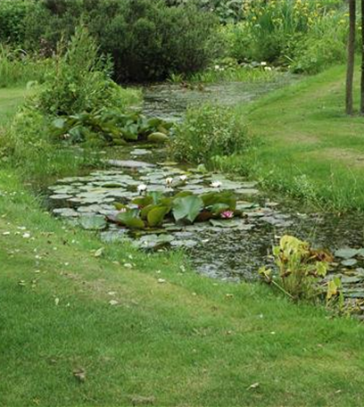 Den Rasen im Frühjahr pflegen