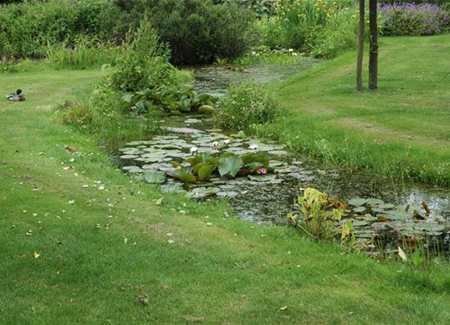 Gesund in den Frühling: Den Rasen im Herbst düngen Gesund in den Frühling: Den Rasen im Herbst düngen