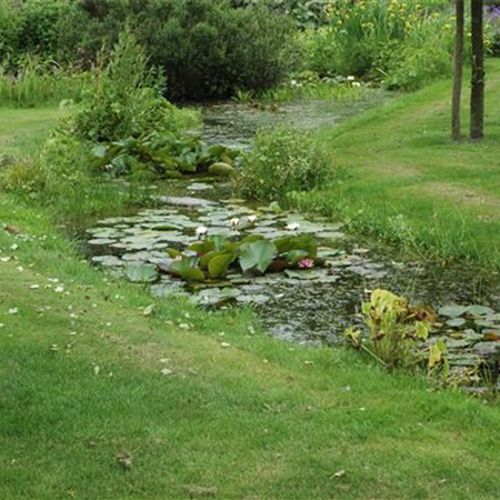 Gesund in den Frühling: Den Rasen im Herbst düngen