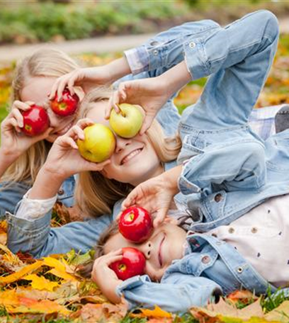 Es wird Herbst – Zeit für die Obsternte! 