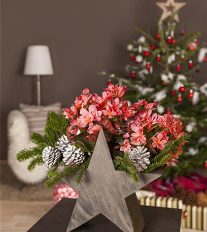 Welche Dekoration für den Weihnachtsbaum?