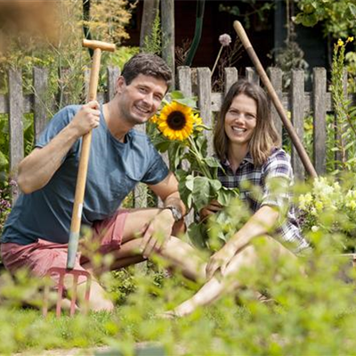 Den Garten im Herbst in Form bringen