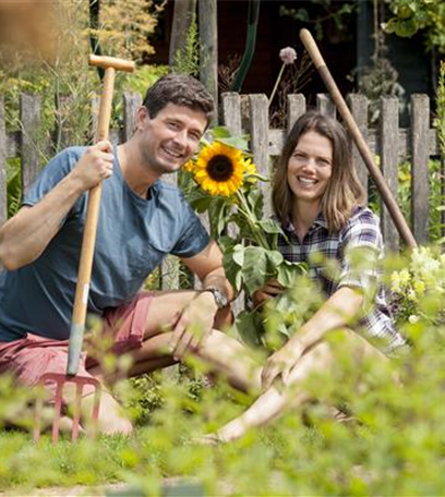 Den Garten im Herbst in Form bringen
