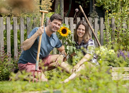 Den Garten im Herbst in Form bringen Den Garten im Herbst in Form bringen