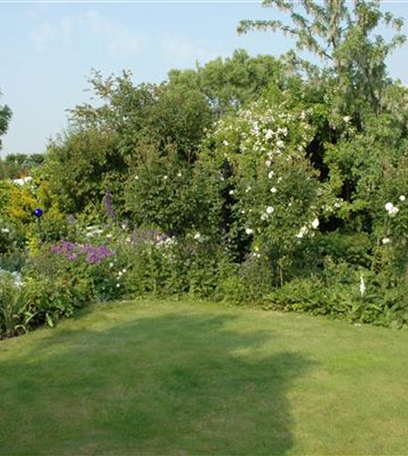 Den Garten im Herbst in Form bringen