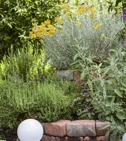 Frische aus dem Garten: Eine Kräuterspirale bauen