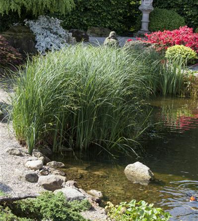 Der Wassergarten – Harmonie und Ausgleich