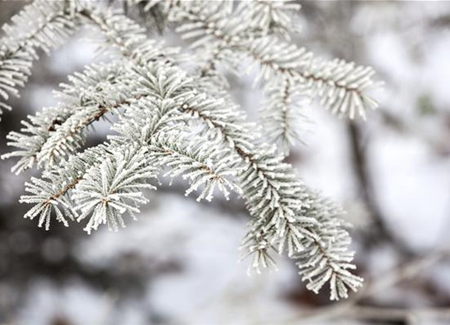 Den Garten winterfest machen Den Garten winterfest machen