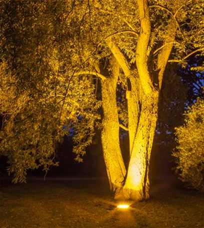 Ins rechte Licht gerückt: Beleuchtung im Garten