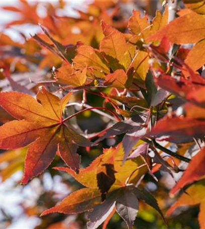 Den Garten winterfest machen