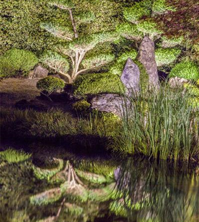 Ins rechte Licht gerückt: Beleuchtung im Garten