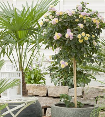 Den Garten winterfest machen