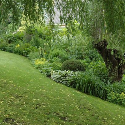 Den Rasen im Frühjahr pflegen