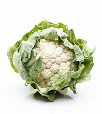 Gemüse im Garten pflanzen