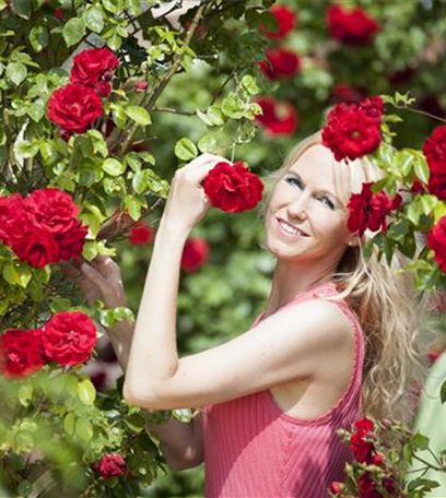 Der Rosengarten – Anmut und Eleganz gestalten