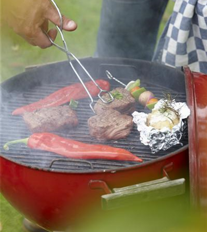 Grillen im Garten: Die Outdoorküche