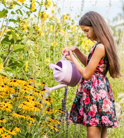 Bewässerungssysteme für einen gesunden Rasen im Sommer
