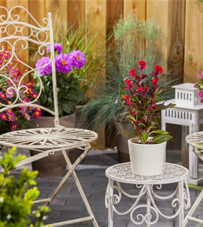 Die richtigen Gartenmöbel für das grüne Wohnzimmer