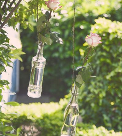 Mäuse und Ratten aus dem Garten vertreiben 