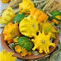 Cucurbita pepo subsp. pepo convar. microcarpina 'Krallenkürbis'