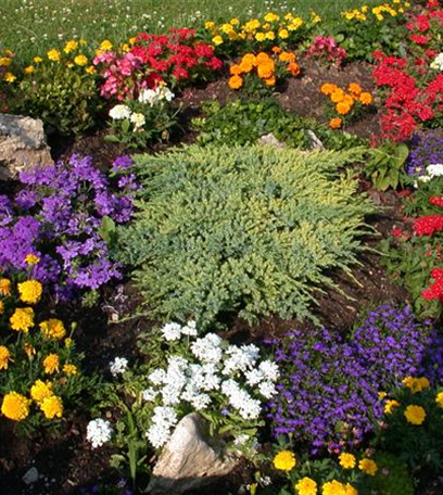 Das Blumenbeet pflegen – vom Gießen, Düngen und Schneiden