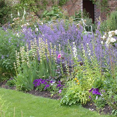 Den ersten eigenen Garten planen und anlegen