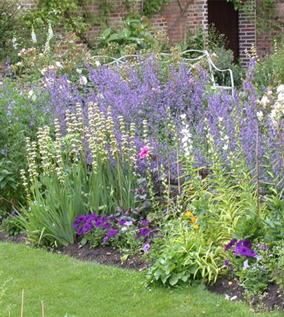 Den ersten eigenen Garten planen und anlegen