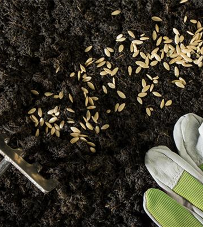 Pflanzen im Garten düngen