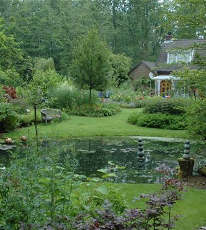 Ruhepol im Garten: Einen Gartenteich anlegen