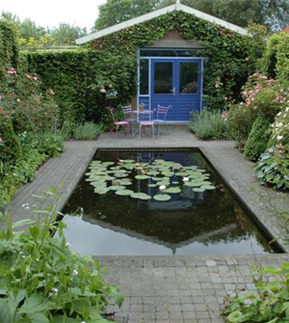 Ruhepol im Garten: Einen Gartenteich anlegen