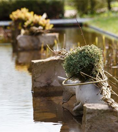 Ruhepol im Garten: Einen Gartenteich anlegen