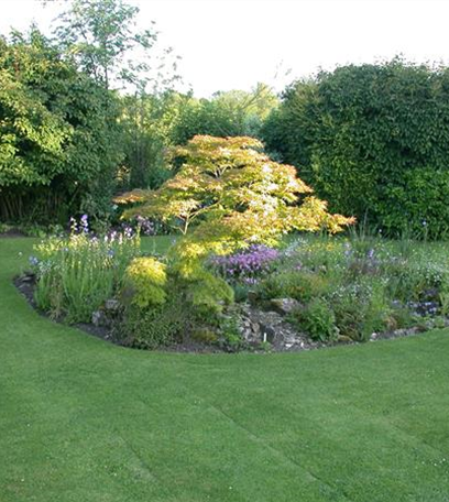 Tröpfchenbewässerung: Gießen leicht gemacht