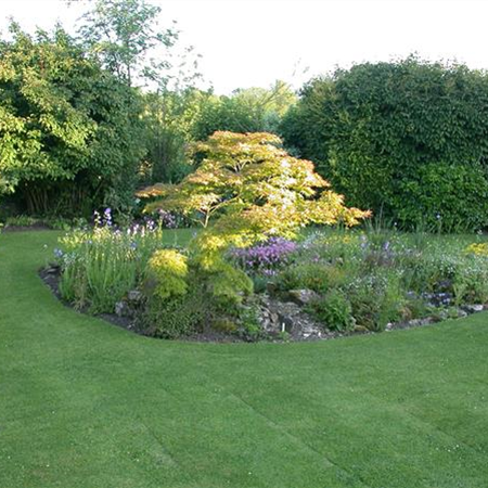 Der Rasen – grasgrün und rundum gesund Der Rasen – grasgrün und rundum gesund