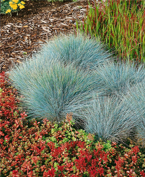 bodenvasen dekorieren tipps Vase für Weihnachten: 8 traumhafte Ideen Marineblauw