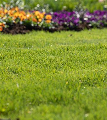 Frühjahrskur für den Rasen – endlich wieder durchatmen