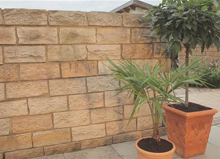 Chinesische Hanfpalme - Einpflanzen in ein Gefäß Chinesische Hanfpalme - Einpflanzen in ein Gefäß