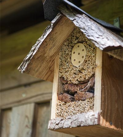 Ein Insektenhotel im Garten