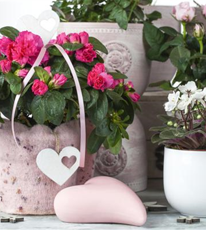 Valentinstag – Was schön und was schief laufen kann.