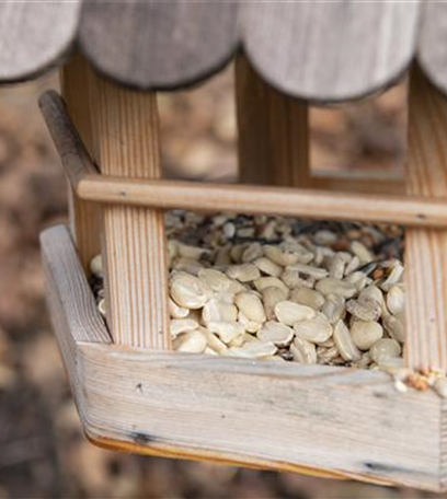 Der Garten – Heimat für Vögel und Co.