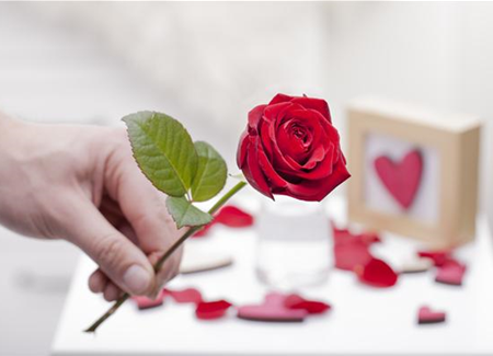 Blühender Valentinstag - für sie und ihn! Blühender Valentinstag - für sie und ihn!