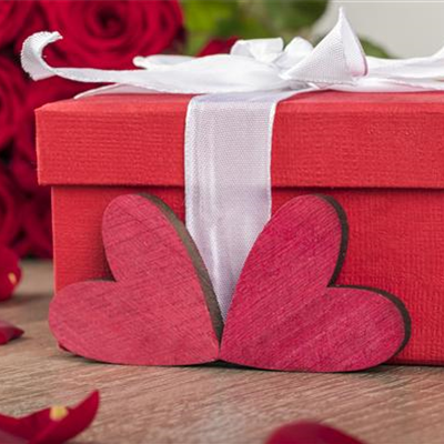 Grüne Geschenkideen zum Valentinstag!