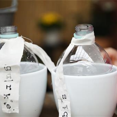 Minigewächshaus aus Plastikflasche