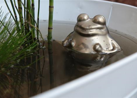 Mini-Teich anlegen Mini-Teich anlegen