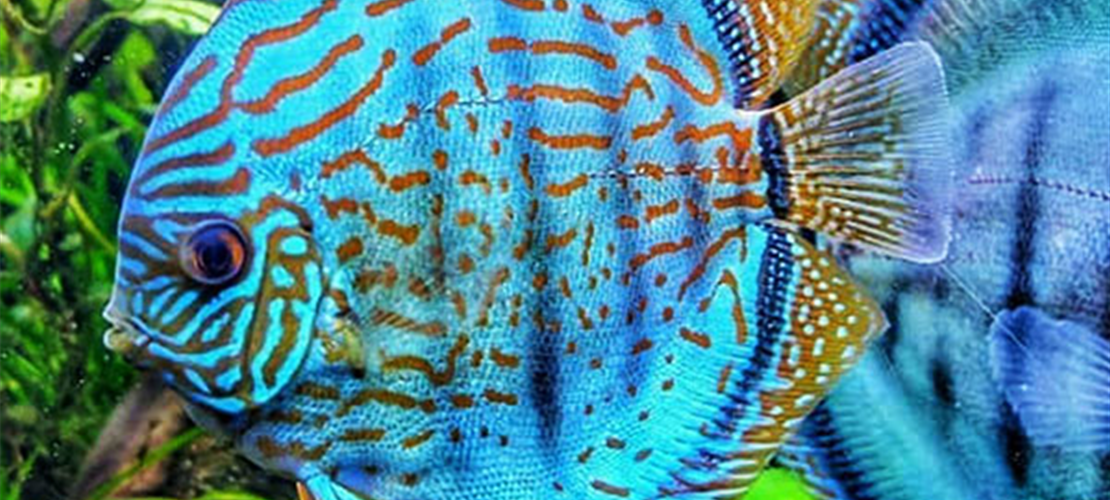 Nehmen Sie Kontakt zu uns auf – Wir helfen Ihnen gerne! Bild Nehmen Sie Kontakt zu uns auf – Wir helfen Ihnen gerne! Bild