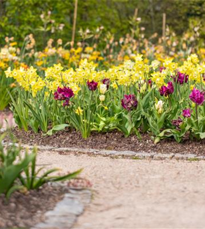 Die bunte Blütenpracht der frühblühenden Pflanzen zu Ostern 
