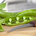 Pisum sativum