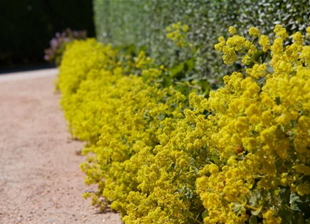 Blackbox-Gardening – die kreative Idee mit den großen Überraschungseffekten Blackbox-Gardening – die kreative Idee mit den großen Überraschungseffekten