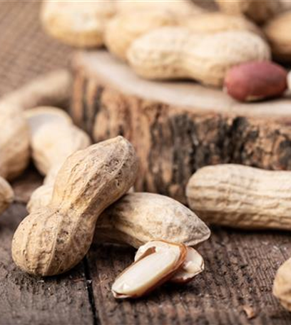 Erdnüsse im eigenen Garten