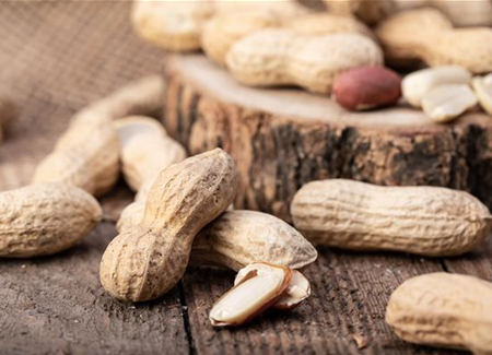 Erdnüsse im eigenen Garten  Erdnüsse im eigenen Garten